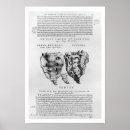 Recherche de andreas vesalius posters 1514 64