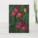 Recherche de jardinier vœux cartes Blanc