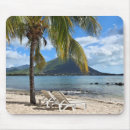 Recherche de chaise plage tapis souris Tropical
