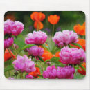 Recherche de pavot rose tapis souris Coloré