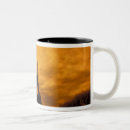 Recherche de tour france tasses Crépuscule