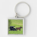 Recherche de amish accessoires Ohio