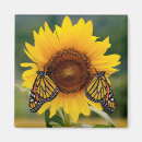 Recherche de papillon de monarque magnets Jardinage