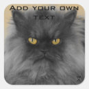 Recherche de chats grincheux autocollants Moelleux