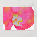 Recherche de orchidée rose cartes postales Orchidées roses