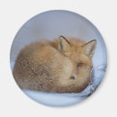 Recherche de up refrigérateur magnets Faune