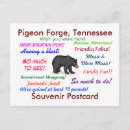 Recherche de pigeon cartes postales Voyage