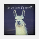 Recherche de funny sayings magnets Cute