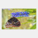 Recherche de bleu de papillon autocollants Faune