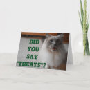 Recherche de ragdoll vœux cartes Blanc