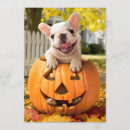 Recherche de humour citrouille invitations Mignon