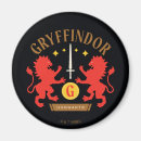 Recherche de gryffindor magnets Sorcière