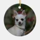 Recherche de chien de chiwawa ornements Blanc