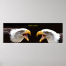 Recherche de d aigle posters Famille