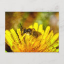 Recherche de petites abeilles cartes postales Fleur