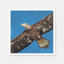 Recherche de aigles serviettes Rapace