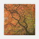 Recherche de arbre japonais magnets Rouge