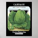 Recherche de agriculteurs posters Légumes