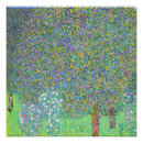 Recherche de rosier posters Floral