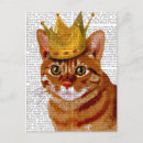 Recherche de fleur gingembre cartes postales Chat
