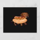 Recherche de teckel cartes postales Mignon