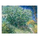 Recherche de lilas bush Floral