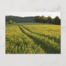 Recherche de paix terre cartes postales Verdure