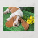 Recherche de basset vœux cartes Heureux
