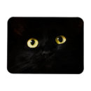 Recherche de chat noir de halloween magnets Éffrayant