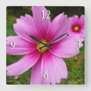 Recherche de cosmo horloges Nature