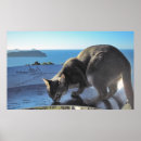 Recherche de voyage de chat art Chats