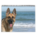 Recherche de mural calendriers Chien