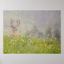 Recherche de cerf de virginie posters Buck