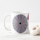 Recherche de oursins tasses Plage