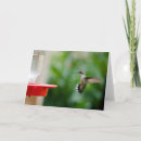 Recherche de ronflement vœux cartes Oiseaux