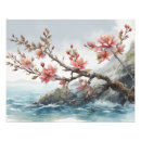 Recherche de branche fleurs cerisier posters Nature