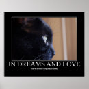 Recherche de housecat Noir