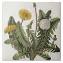 Recherche de gravures carreaux Fleurs
