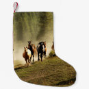 Recherche de mammifère chaussette de noël Nature