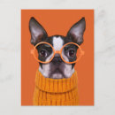 Recherche de race pure posters Chiot