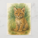 Recherche de de chat sauvage cartes postales Chaton