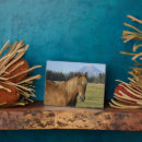 Recherche de cheval plaques Superstock