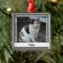 Recherche de chat memorial ornements Nom