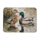 Recherche de le canard magnets Faune