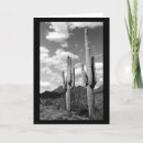 Recherche de désert de sonoran vœux cartes Cactus