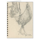 Recherche de jeune coq cartes postales Poulet