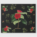 Recherche de camélia papier cadeau Botanique