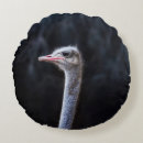Recherche de autruches coussins Oiseaux