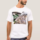 Recherche de boa constrictor Python