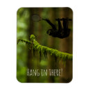 Recherche de sloth magnets Drôle